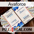 Avaforce kamagra1